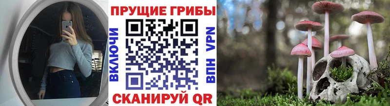 Галлюциногенные грибы MAGIC MUSHROOMS  darknet состав  Трубчевск  продажа наркотиков 
